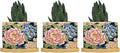 Bright and Chinoiserie Planter Ceramic Coral Peony Floral Round Plant Pot with Drainage Holes and Bamboo Tray Pot for Home Office Decoration