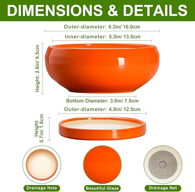 Succulent Planters 6 Inch - Small Bonsai Pots Ceramic, Succulent Pots with Drainage Hole and Saucer, Shallow Planters Indoor Outdoor, Round Cactus Pot, Office Decor, Gardening Gift, Orange