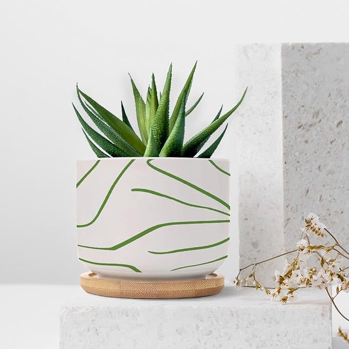 African Zebra Stripe Print Planter Ceramic Boho Geometric Green and Light Gray Round Plant Pots with Drainage Holes and Bamboo Tray Pot for Succulents Cactus Garden Windowsill