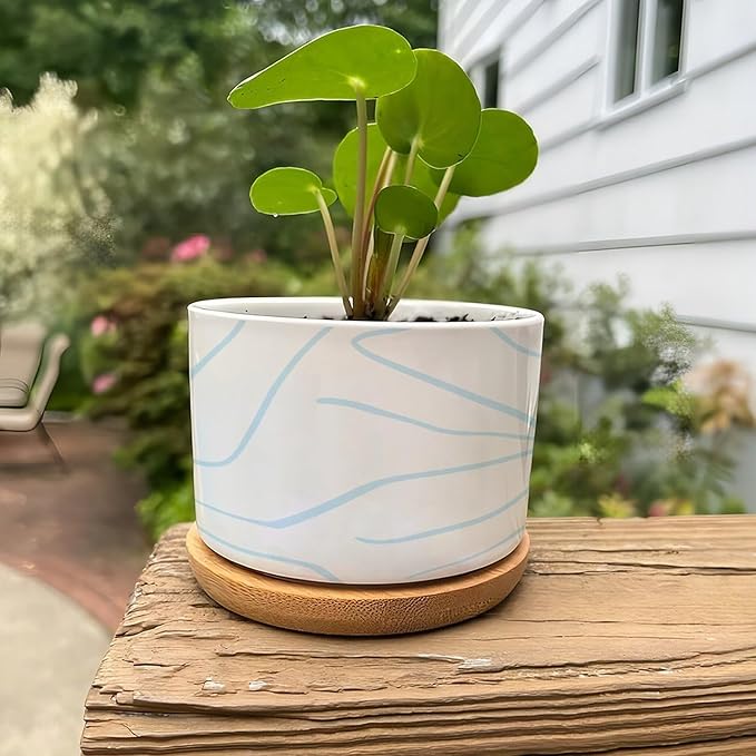 African Zebra Stripe Print Ceramic Planters Boho Geometric Light Blue and White Snake Plant Live Indoor with Pot with Drainage Holes and Saucers Pot for Home Desktop Office Windowsill