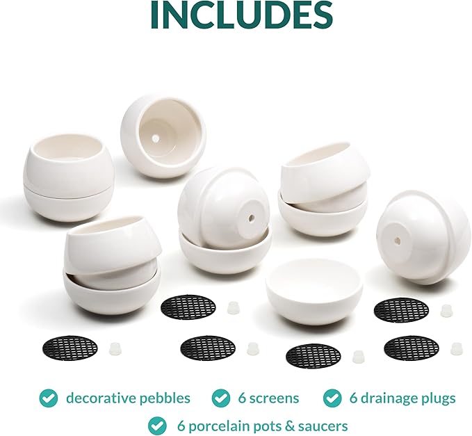 3.5 Inch Cute Porcelain Mini Plant Pots with Drainage Hole and Plug (6pk) - Includes a Bag of Decorative Pebbles, Cleaning Brush, and Tweezers - Cactus Pots, Suculentas Pot - No Plants Included