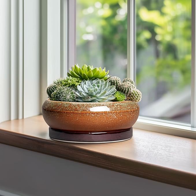 Bonsai Pots - 10 Inch Ceramic Succulent Pots with Drainage Hole and Saucer, Bonsai Planter for Indoor Outdoor, Large Shallow Planter Bowl, Office Decor, Gifts for Plant Lovers, Retro Brown