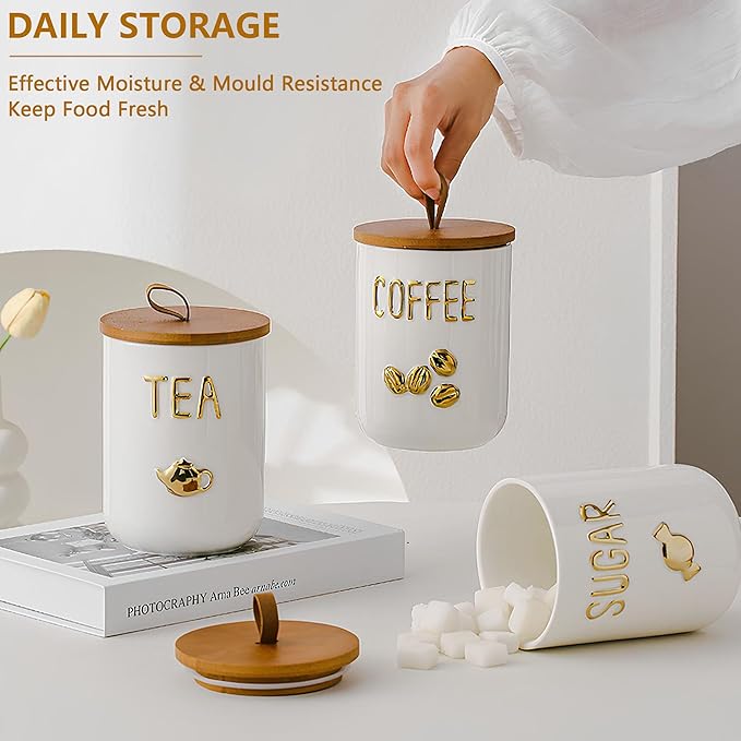 Comeon Ceramic Canister Set with Airtight Seal Bamboo Lid Silicone, 27oz Food Storage Jars for Coffee Sugar Tea, Container Set for Kitchen Pantry Counter Decor (Coffee)