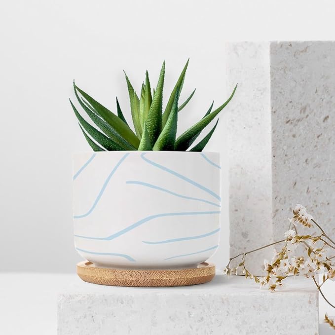 African Zebra Stripe Print Ceramic Planters Boho Geometric Light Blue and White Snake Plant Live Indoor with Pot with Drainage Holes and Saucers Pot for Home Desktop Office Windowsill