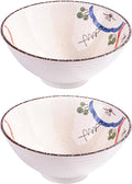 Japanese Ceramic Noodle Bowls, 8.3 Inch Asian Porcelain Ramen Set of 2 for Soup Pho Bowls (wc)