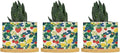 Summer Cherry Lemon Citrus Garden Ceramic Planter Strawberry Fruit Season Pots for Plants with Drainage Holes and Saucers Pot for Pots Outdoor Indoor Plants