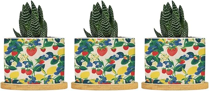 Summer Cherry Lemon Citrus Garden Ceramic Planter Strawberry Fruit Season Pots for Plants with Drainage Holes and Saucers Pot for Pots Outdoor Indoor Plants