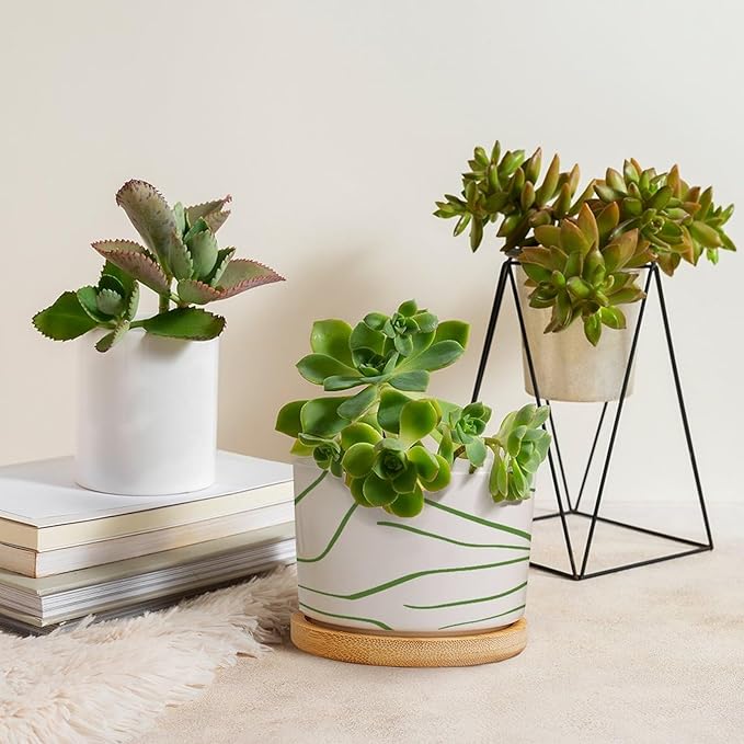 African Zebra Stripe Print Planter Ceramic Boho Geometric Green and Light Gray Round Plant Pots with Drainage Holes and Bamboo Tray Pot for Succulents Cactus Garden Windowsill