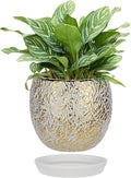 Ceramic Plant Pots for Plants Indoor 5.3 Inch Round Gold and White Flower Pot Gilded Decorative Planter with Drainage Hole and Saucer Modern Ceramic Pot for Succulents Orchids Cactus Herbs Home Decor