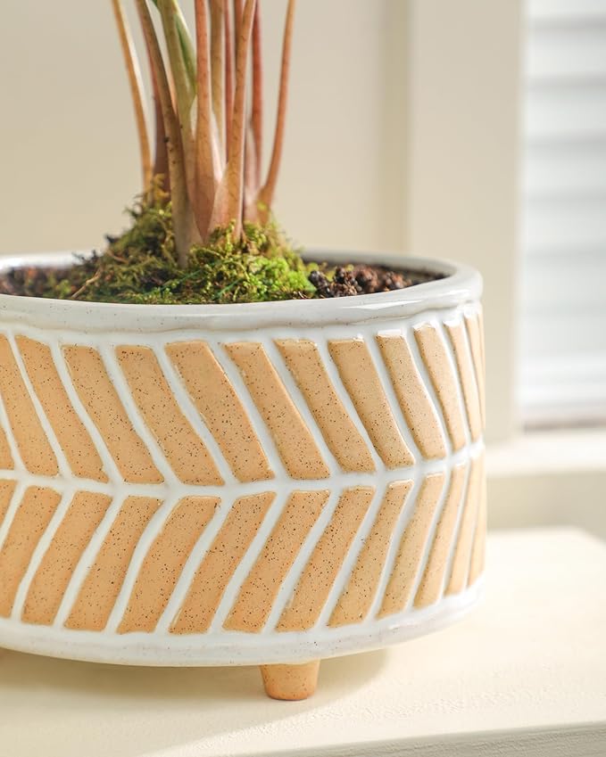 Succulent Pots, 6 Inch Planters with Drainage Hole, Modern Indoor Plant Pots for Succulents, Herbs, Aloe, Snake Plant - Ceramic Home Décor, Set of 2