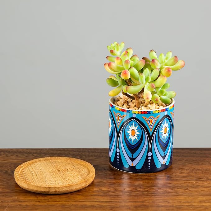 Kingrol 8 Pack Succulent Pots, Mini Ceramic Flower Planter Pot with Drainage Hole and Bamboo Tray for Cactus, Ferns, Herbs, Jade Plants - Mandala Style, Plants Not Included