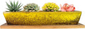 ARTKETTY Succulent Pots, 9.8 Inch Ceramic Succulent Planters with Drainage Small Bonsai Pot with Bamboo Tray, Mini Cactus Flower Planter Pot Shallow Rectangular Window Planters for Indoor Plants