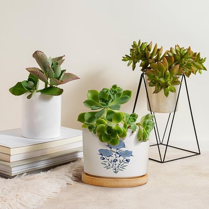 DreamAutumn Blue Flower Ceramic Pots for Plants with Drainage Holes Round Flower Pot Bamboo Tray Orchid Pot Succulents Pots for Outdoor Indoor Plants,Housewarming Gifts
