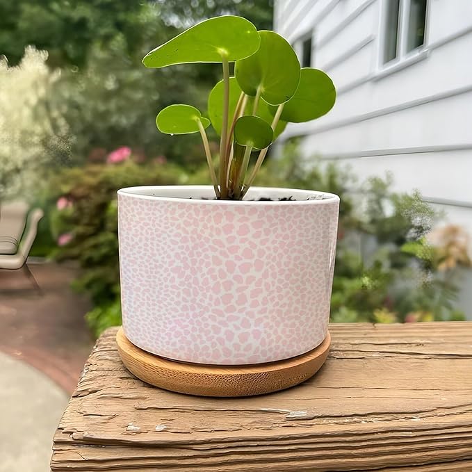Pink Leopard Print Ceramic Planters African Animal Stripe Snake Plant Live Indoor with Pot with Drainage Holes and Saucers Pot for Home Desktop Office Windowsill