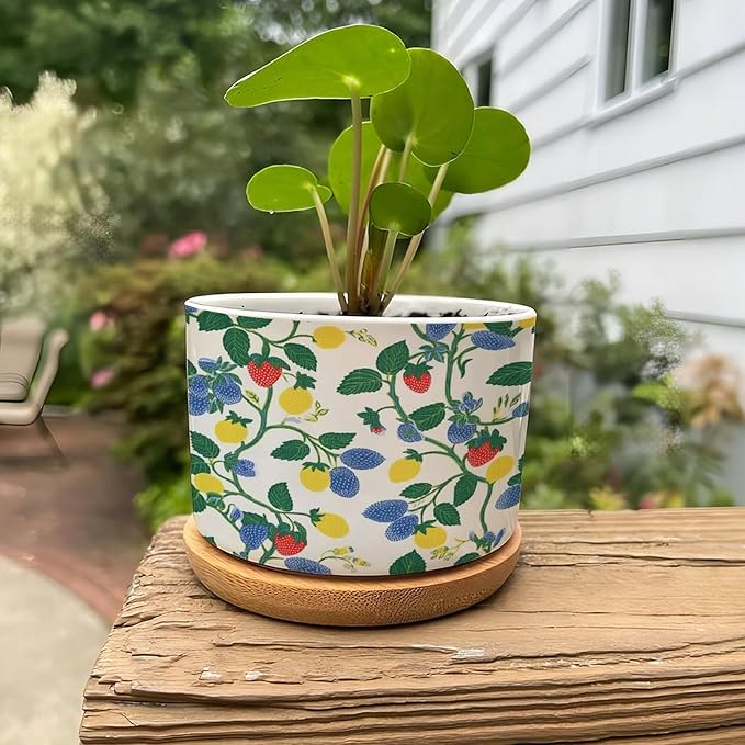 Summer Cherry Lemon Citrus Garden Planter Ceramic Strawberry Fruit Season Round Plant Pot with Drainage Holes and Bamboo Tray Pot for Indoor Outdoor Garden