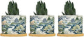 Trend Dragon and Print Ceramic Planters Chinoiserie Asian Inspired Planters for Indoor Plants with Drainage Holes and Saucers Pot for Outdoor Garden Home Plant