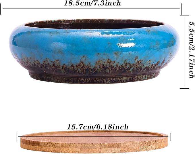 Succulent Pots - Large Succulent Planters with Drainage, 7.3 Inch Ceramic Bonsai Pots with Bamboo Tray Set of 2, Shallow Cactus Flower Planter Bowl for Indoor