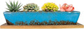 ARTKETTY Succulent Pots, 9.8 Inch Ceramic Succulent Planters with Drainage Small Bonsai Pot with Bamboo Tray, Mini Cactus Flower Planter Pot Shallow Rectangular Window Planters for Indoor Plants