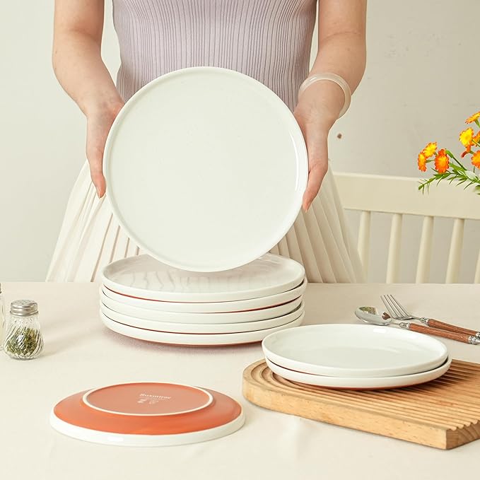10.25-Inch Dinner Plates Set of 4, Dual Glaze Stoneware Plates, Microwave and Dishwasher Safe, Ceramic Plates for Everyday Dining, Stardust Glaze White