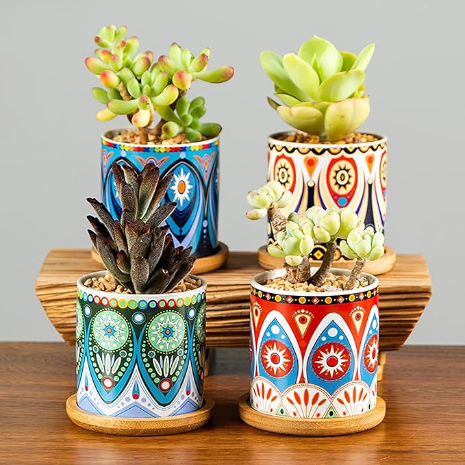 Kingrol 8 Pack Succulent Pots, Mini Ceramic Flower Planter Pot with Drainage Hole and Bamboo Tray for Cactus, Ferns, Herbs, Jade Plants - Mandala Style, Plants Not Included