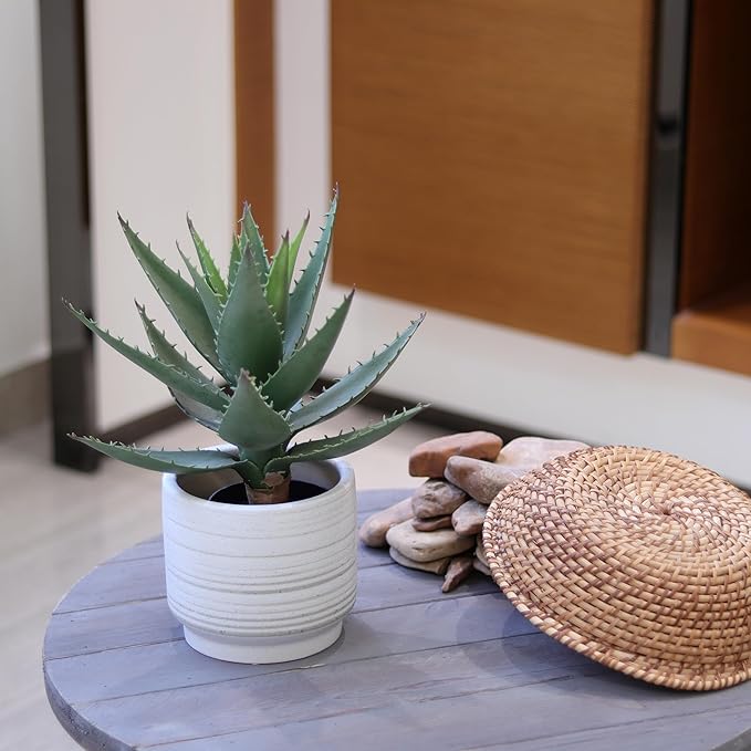 Ceramic Plant Pot 6 Inch Planter with Drainage Hole & Mesh Pad for Indoor Plant Pots Outdoor Plants Modern Plant Pot -Cylinder Round Ceramic Pots for Plants Succulent/Herbs/Violets