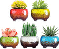 ARTKETTY Succulent Pots - 4.7 Inch Small Succulent Planter Pots with Drainage Hole Ceramic Flower Pots for Indoor Cactus Plants Pack of 5