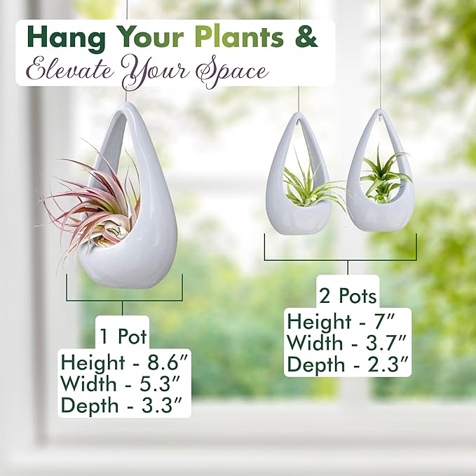 23 Bees, Hanging Air Plant Holder, White Hanger Ceramic Planter, Small Floating Succulent Pots Container, Cactus Holders with Metal Wire, 3 Pack