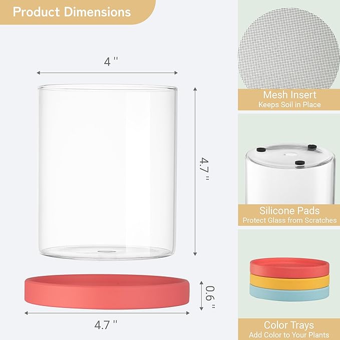 3-Pack 4 Inch Clear Glass Plant Pots with Drainage and Ceramic Trays, Indoor Herb Planters for Home Office, Succulents & Small Plants (Primary 3-Pack)
