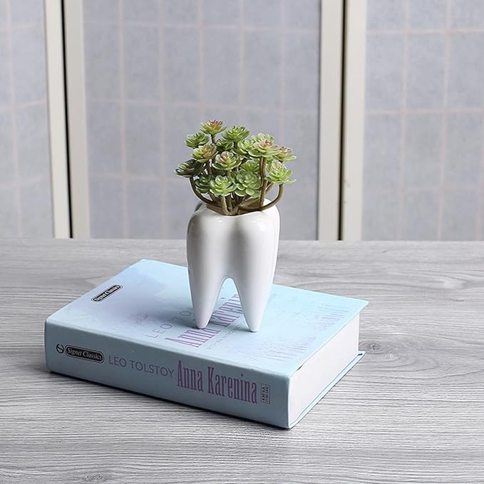 1 PC Creative Tooth Shaped Garden Succulent Ceramic Flower Pot Dental Toothbrush Holder Ceramic Storage Bucket Personalized Decoration Creative Birthday Gift Desktop Desk Decoration(Tooth)