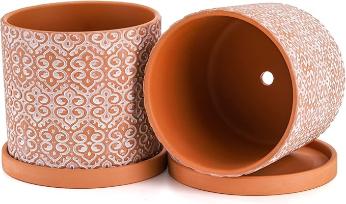 Frcctre 2 Pack Terracotta Pots for Plants, 5 Inch Succulent Planter Pot with Drainage Hole and Saucer, Clay Pottery Pots for Indoor Plants, Cactus, Succulent, Herbs
