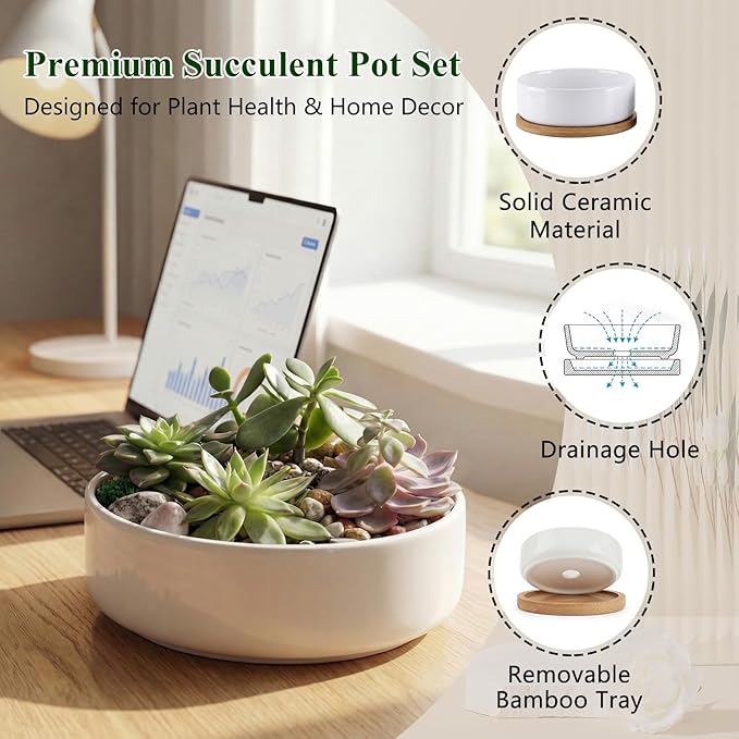 ZOUTOG Succulent Pots,6 Inch Succulent Planters with Drainage and Tray,White Ceramic Planters for Indoor Plants,Round Shallow Flower Plant Pots,Pack of 6