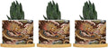 Chiang Dragon Ceramic Planters Chinoiserie Asian Pots for Plants with Drainage Holes and Saucers Pot for Indoor Outdoor Garden