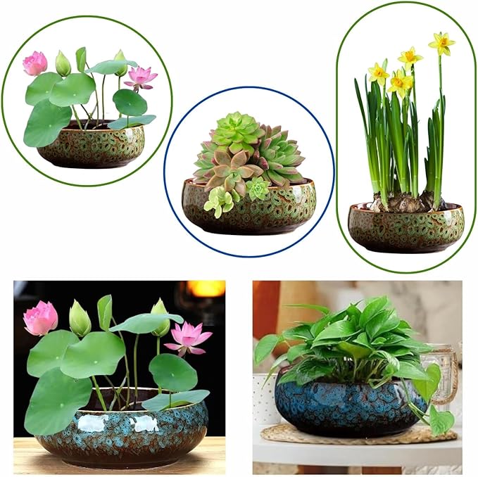 Ceramic Lotus Bowl Planter, Lotus Pots for Water Plants Indoor, Large Caliber Flow Glaze Non-Porous Hydroponic Container, Succulent Pots, Leak-Proof Design (Green Peacock Pattern) 6.6in*2.7in