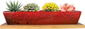 ARTKETTY Succulent Pots, 9.8 Inch Ceramic Succulent Planters with Drainage Small Bonsai Pot with Bamboo Tray, Mini Cactus Flower Planter Pot Shallow Rectangular Window Planters for Indoor Plants