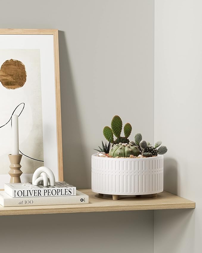 LE TAUCI Succulent Pots, 6.5+8 Inch Ceramic Indoor Plant Pot with Drainage Hole, Shallow Round Succulent Planters, Set of 2, Matte White