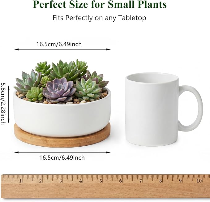 ZOUTOG Succulent Pots,6 Inch Succulent Planters with Drainage and Tray,White Ceramic Planters for Indoor Plants,Round Flower Plant Pots,Pack of 2