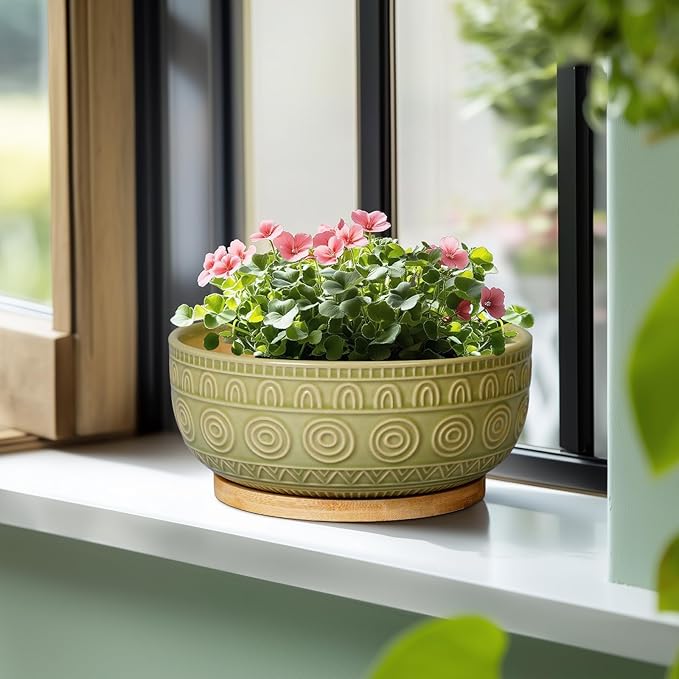Bonsai Pots - 8 Inch Ceramic Succulent Pots with Drainage Hole and Saucer, Shallow Round Planter for Indoor Plants, Boho Bowl Planter, Room Decor, Green
