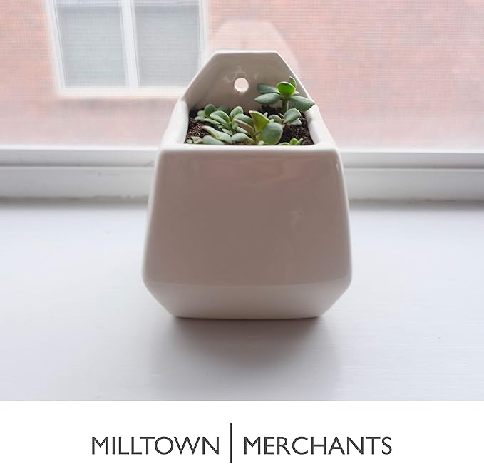 Milltown Merchants Succulent Wall Planters - Wall Vases - Black Ceramic Wall Mounted Planters - Succulent Plant Pots - Hanging Vases for Living Wall (2 Pack/Contemporary/White)