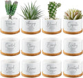 Fumete 12 Pcs Bible Verse Succulent Pots with Bamboo Tray Drainage 3.15 Inch Mini Ceramic Flower Planter Pot Christian Gifts for Women Sunday School Teacher Church Plants Not Included(Special Style)