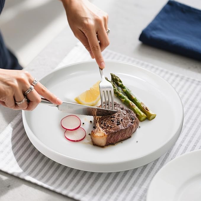 10 inch White Dinner Plates Set of 6, Ceramic Dinner Plates, Round Dessert Salad Plate, Porcelain Plate for Kitchen, Restaurant, Microwave, Oven & Dishwasher Safe, Scratch Resistant