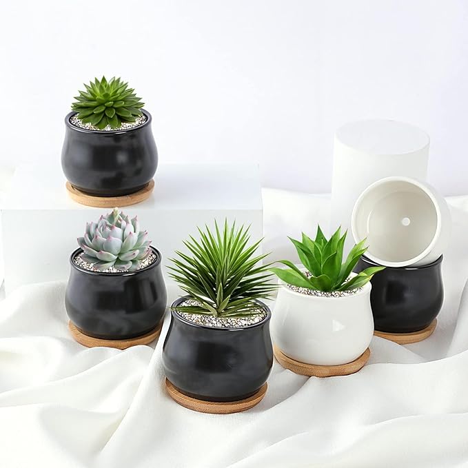 2 Pack Succulent Pots, 2.5 Inch Mini Ceramic Pots for Flower or Cactus Plants with Drainage Hole,Plants Not Included (Black)