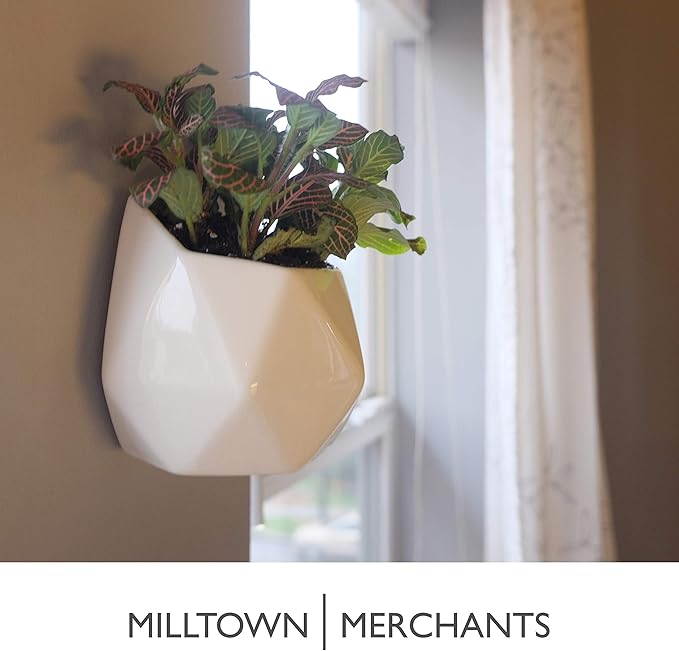 Milltown Merchants Succulent Wall Planters - Wall Vases - Black Ceramic Wall Mounted Planters - Succulent Plant Pots - Hanging Vases for Living Wall (2 Pack/Geometric/White)
