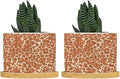 Leopard Orange Light Brown Dot Planter Ceramic African Tribal Animal Print Round Flower Pot with Drainage Holes and Bamboo Tray Pot for Pots Outdoor Indoor Plants