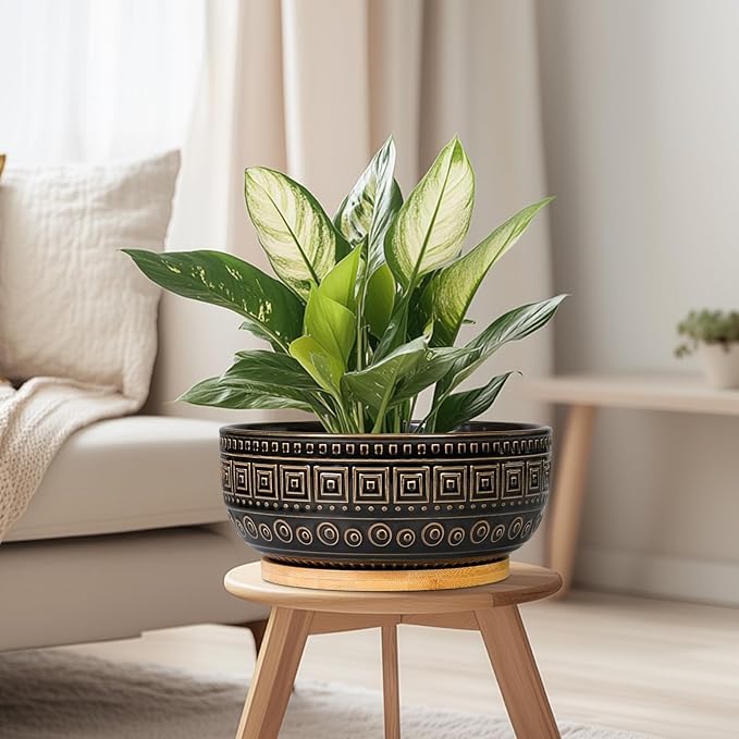 G EPGardening Bonsai Planter - 8 Inch Ceramic Succulent Pots with Drainage and Plant Saucer, Round Shallow Planter Bowl for Indoor Plants Flower, Boho Garden House Decor, Plant Lovers Gifts, Black