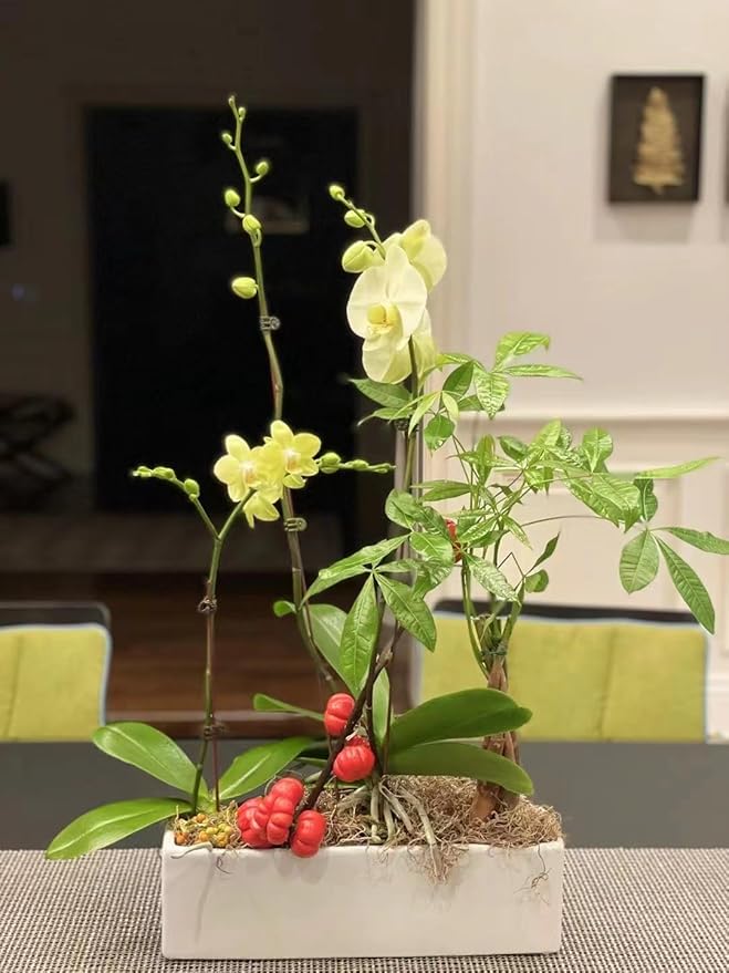 WGVI Long Rectangle Ceramic Planter Vase in White 12" x 4" x 4"H, Block Rectangular Terrarium Box Pot, Flower Arrangement, Table top Centerpiece, Home Decor Organization Storage Container, 6 Pcs.