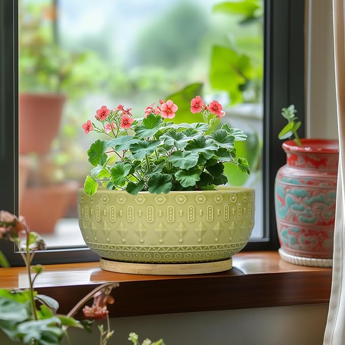 Bonsai Tree Pot - 8 Inch Ceramic Succulent Pots with Drainage Hole and Saucer, Boho Round Shallow Planter Bowl for Indoor Plants Flower, Office Decor, Gifts for Women & Men, Green