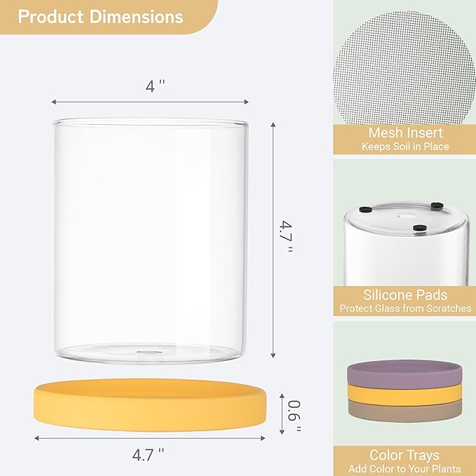 3-Pack 4 Inch Clear Glass Plant Pots with Drainage and Ceramic Trays, Indoor Herb Planters for Home Office, Succulents & Small Plants (Soft 3 Colors)