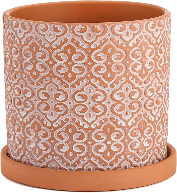 Frcctre 2 Pack Terracotta Pots for Plants, 5 Inch Succulent Planter Pot with Drainage Hole and Saucer, Clay Pottery Pots for Indoor Plants, Cactus, Succulent, Herbs