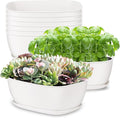 Set of 8 White Oval Shallow Herb Garden Planters with Drainage Holes and Trays (8.66 Inch) Plant Pots for Herbs Basil Orchids Succulents, Modern Herb Garden Planter for Indoor/Outdoor Plants