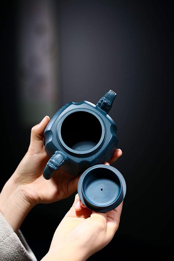 Clay Teapot 10oz Zisha Tea Pot Chinese Dragon Kungfu Tea Set Kettle (Tianqing mud)